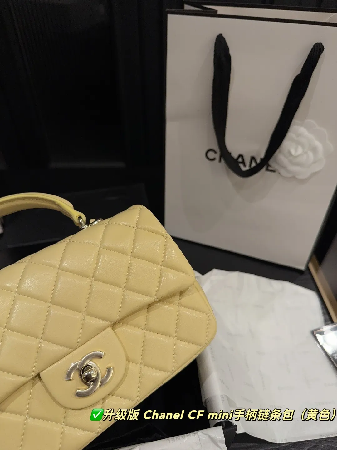 Chanel CF Mini Top-Handle Chain Bag D28517923 — view 12