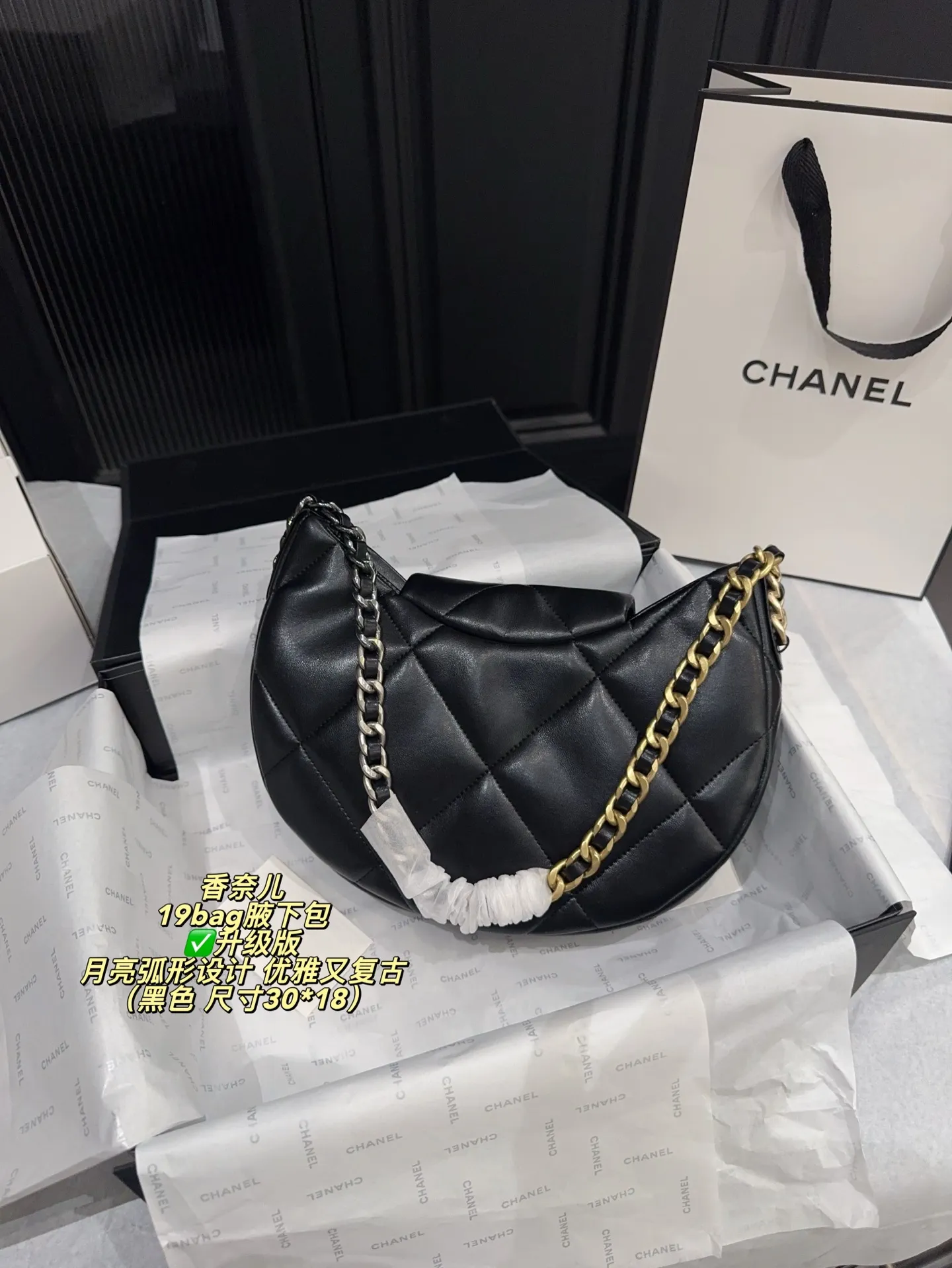 Chanel 19 Bag Quilted Shoulder Bag D31018394 — view 12