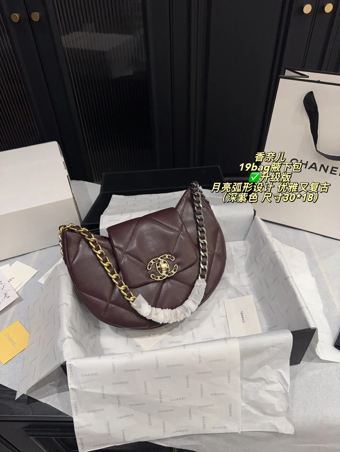 Chanel 19 Bag Quilted Shoulder Bag D31018394 — view 19