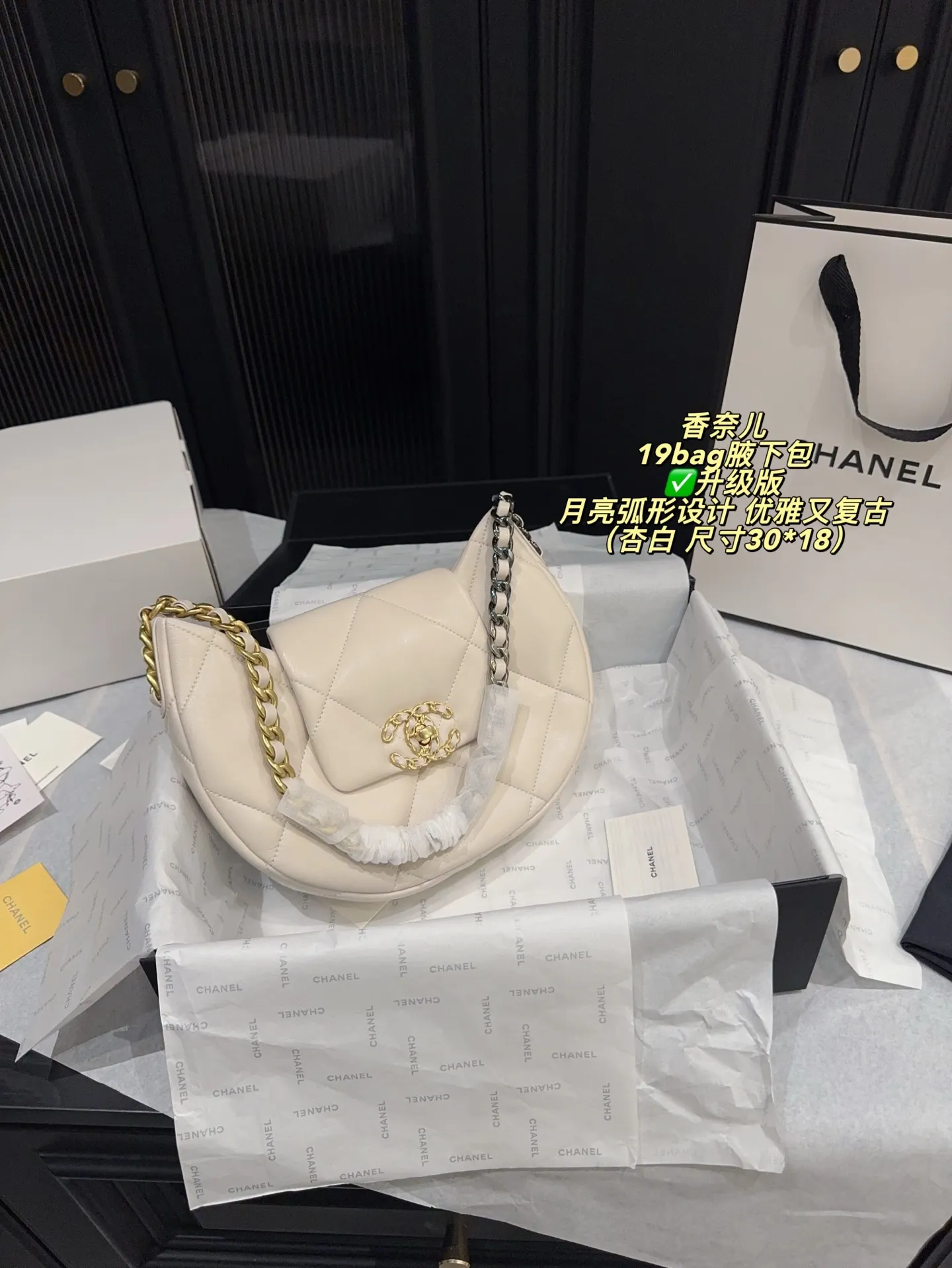 Chanel 19 Bag Quilted Shoulder Bag D31018394 — view 20