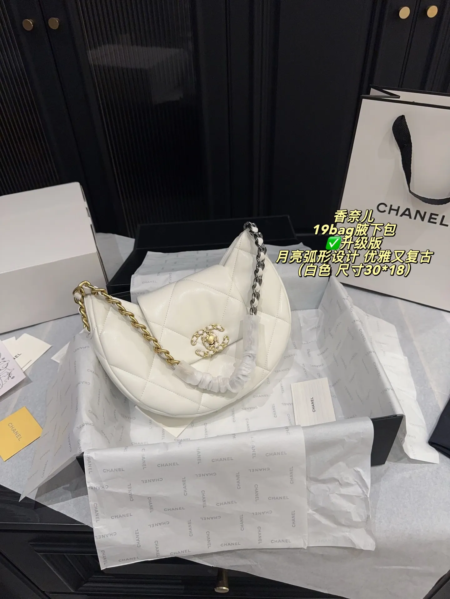 Chanel 19 Bag Quilted Shoulder Bag D31018394 — view 21