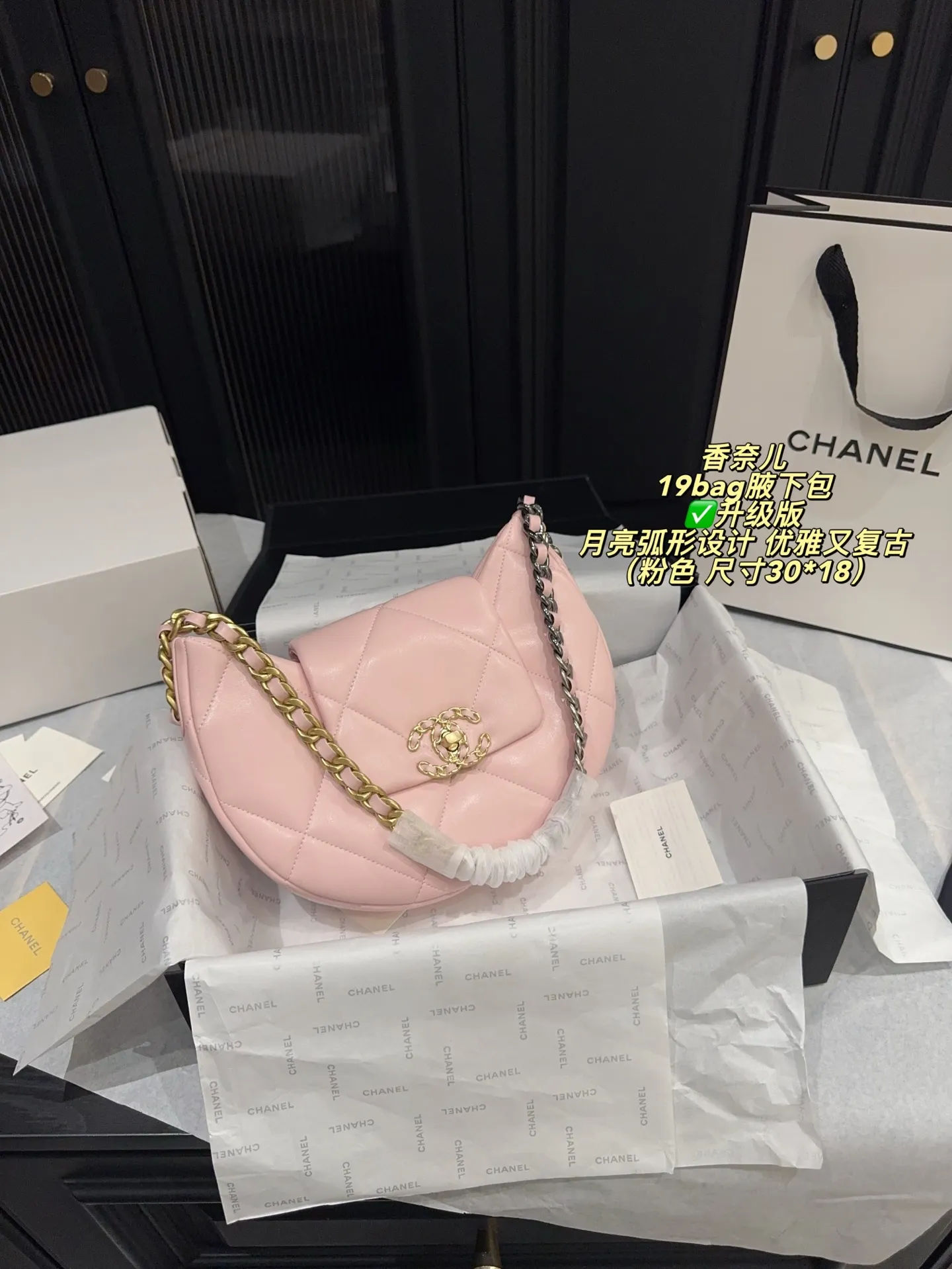 Chanel 19 Bag Quilted Shoulder Bag D31018394 — view 22