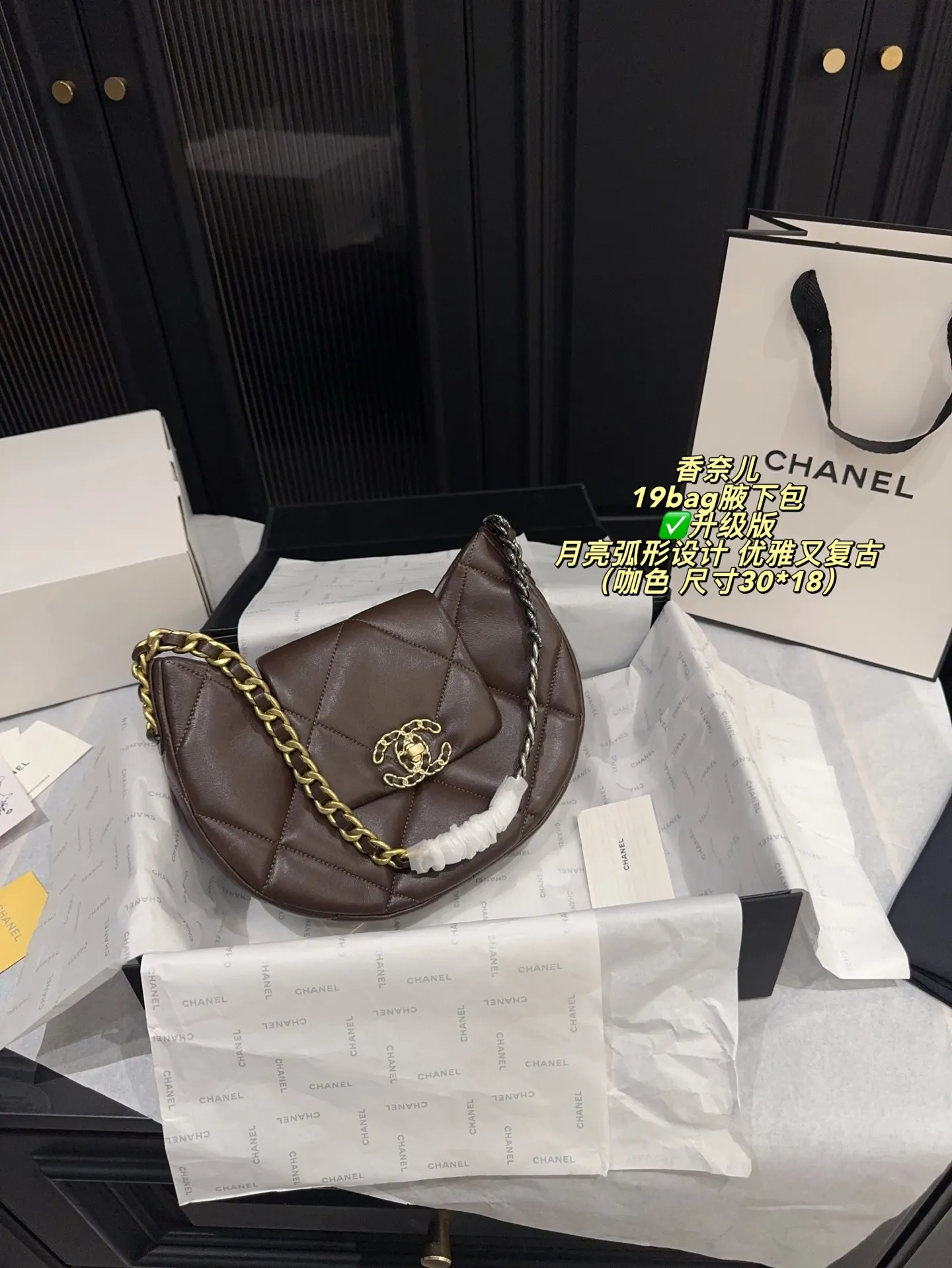 Chanel 19 Bag Quilted Shoulder Bag D31018394 — view 23