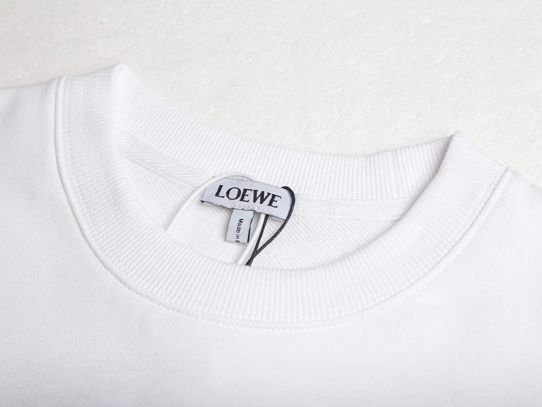 Anagram Embroidered Cotton-Jersey Sweatshirt D20020414 — view 4