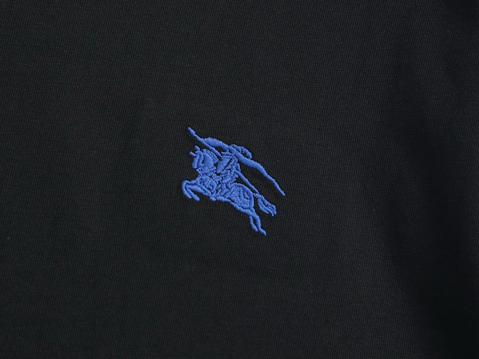 Embroidered Equestrian Knight Logo Cotton T-Shirt D13520170 — view 4