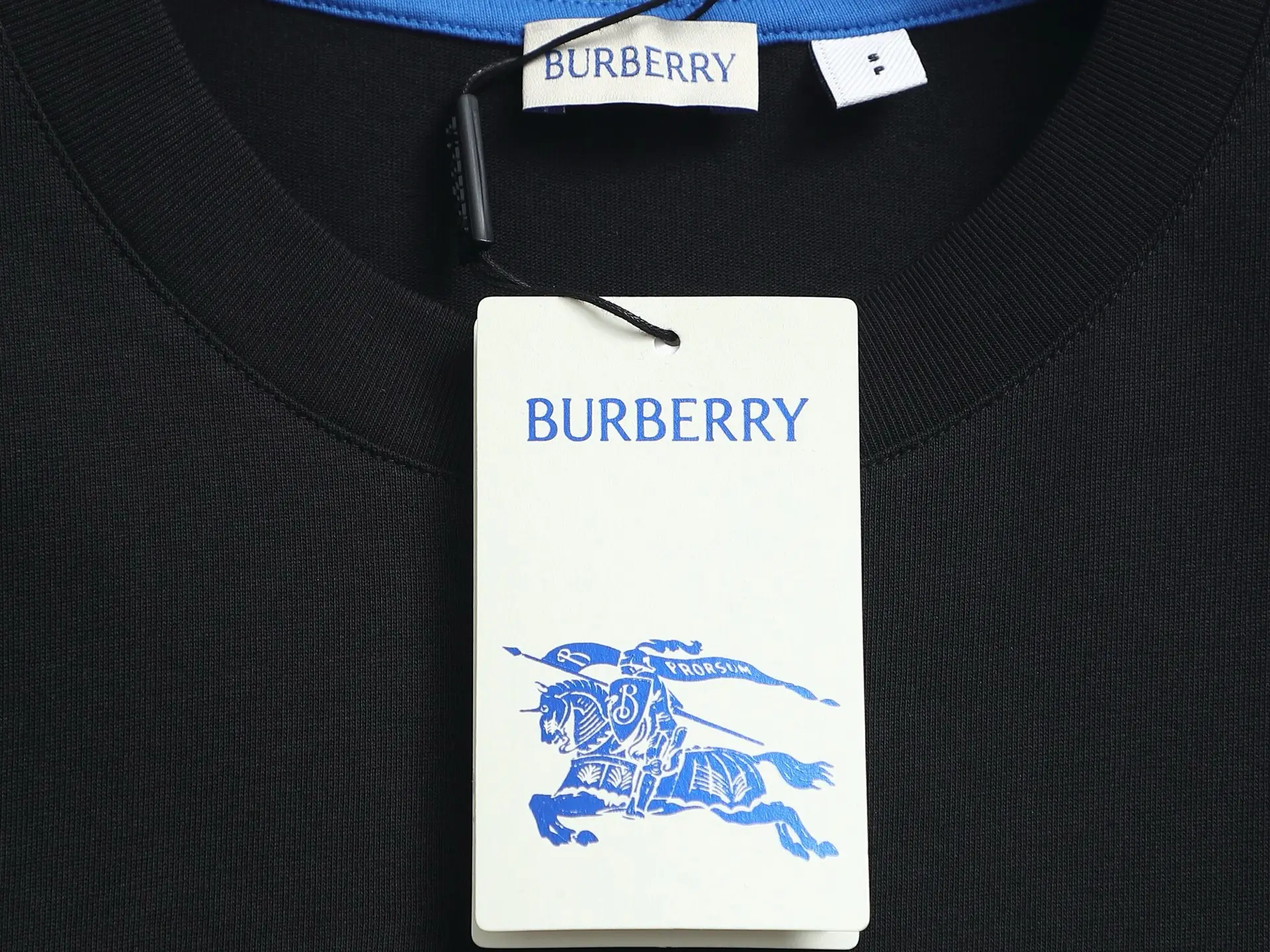 Embroidered Equestrian Knight Logo Cotton T-Shirt D13520170 — view 5