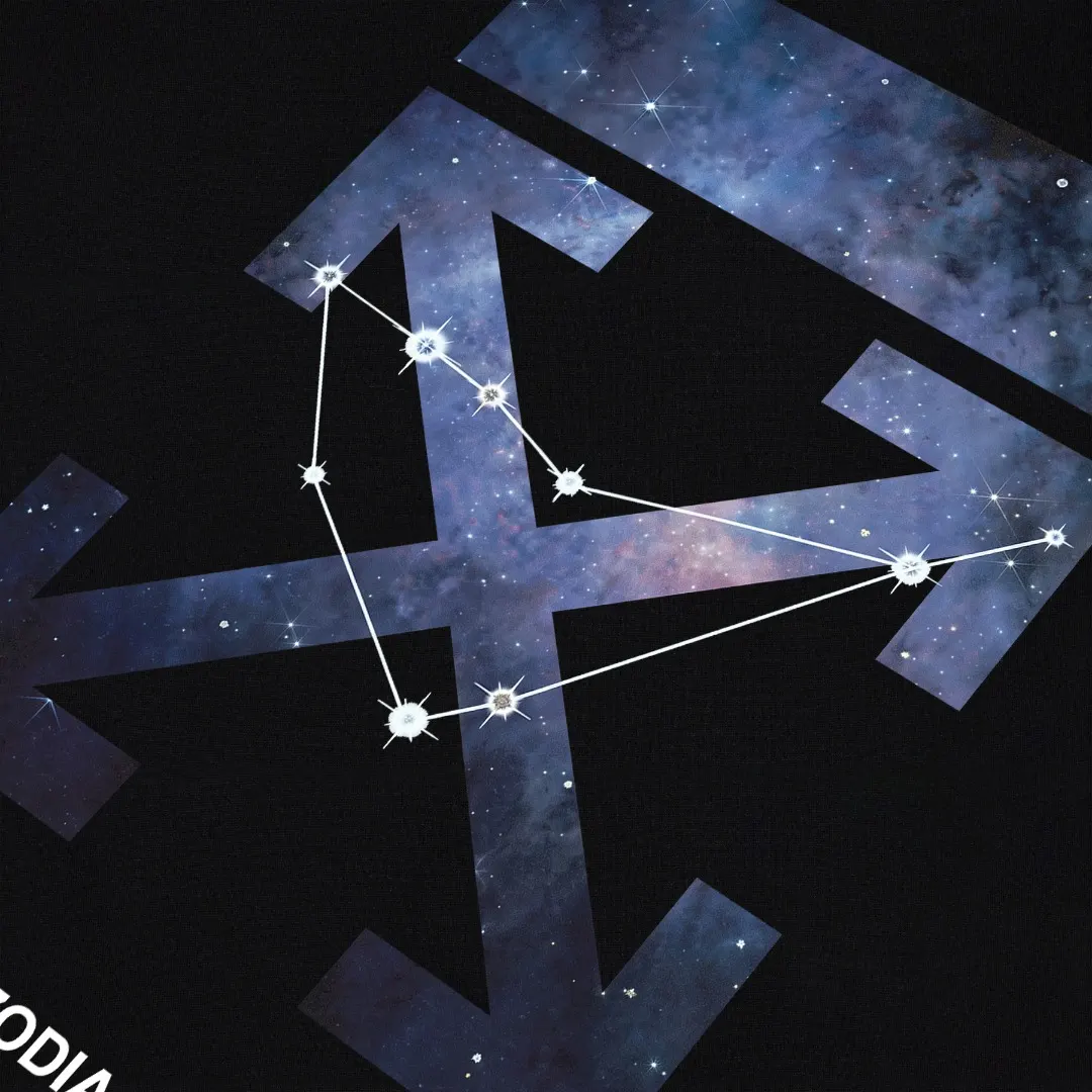Zodiac Graphic Print Cotton T-Shirt D13520291 — view 8