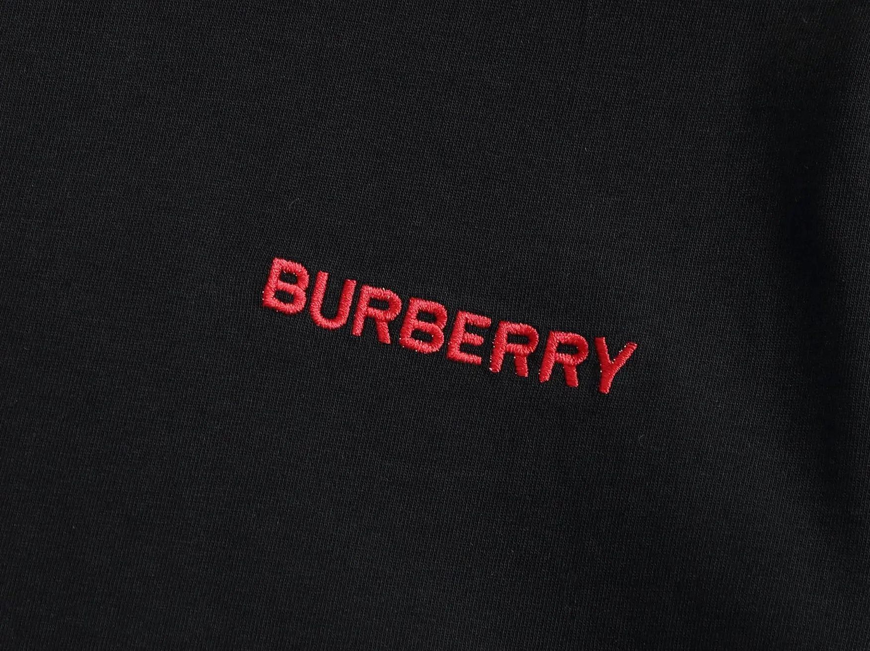 Check-Trim Logo Embroidery Cotton T-Shirt D13520171 — view 4