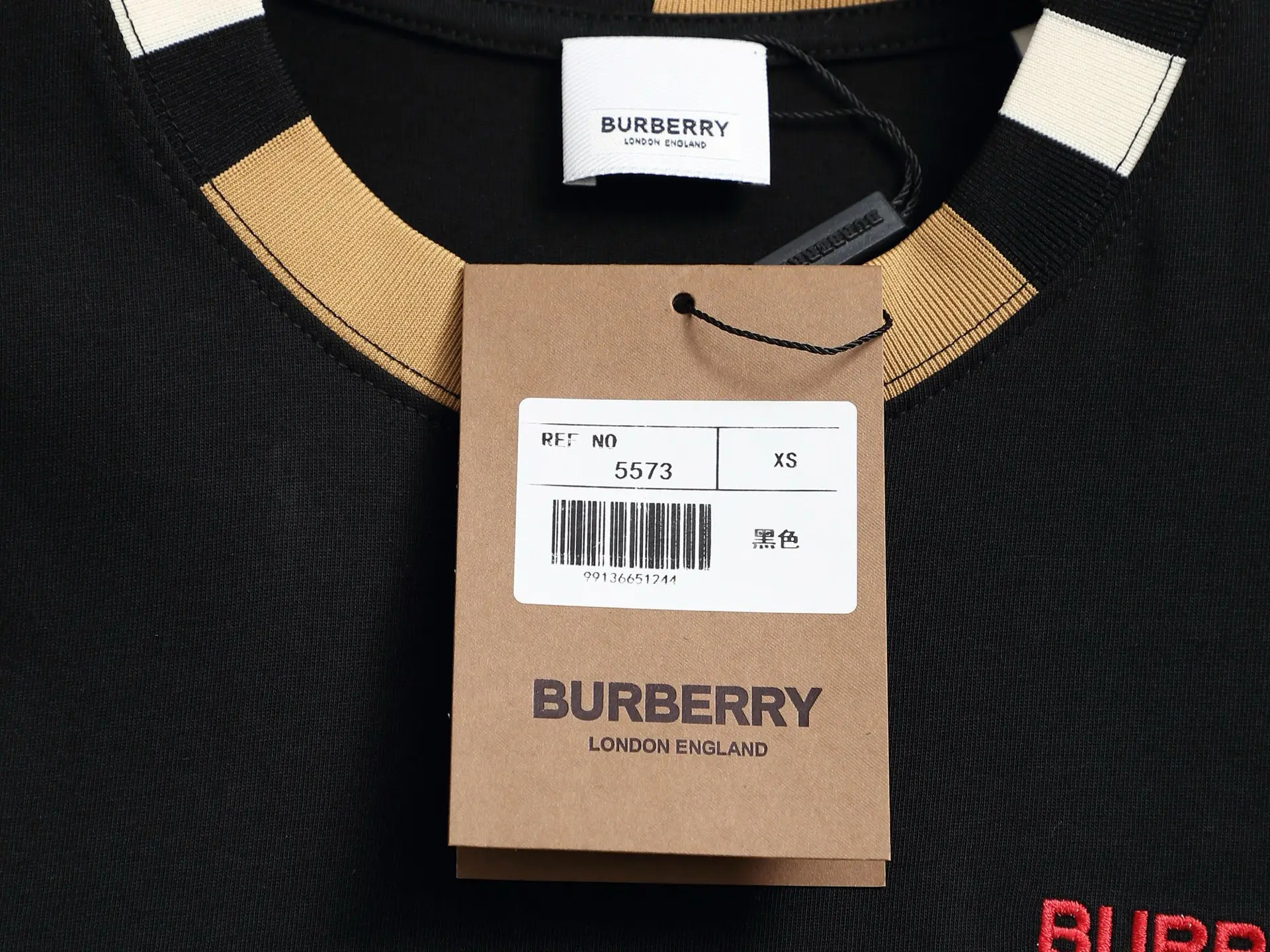 Check-Trim Logo Embroidery Cotton T-Shirt D13520171 — view 6