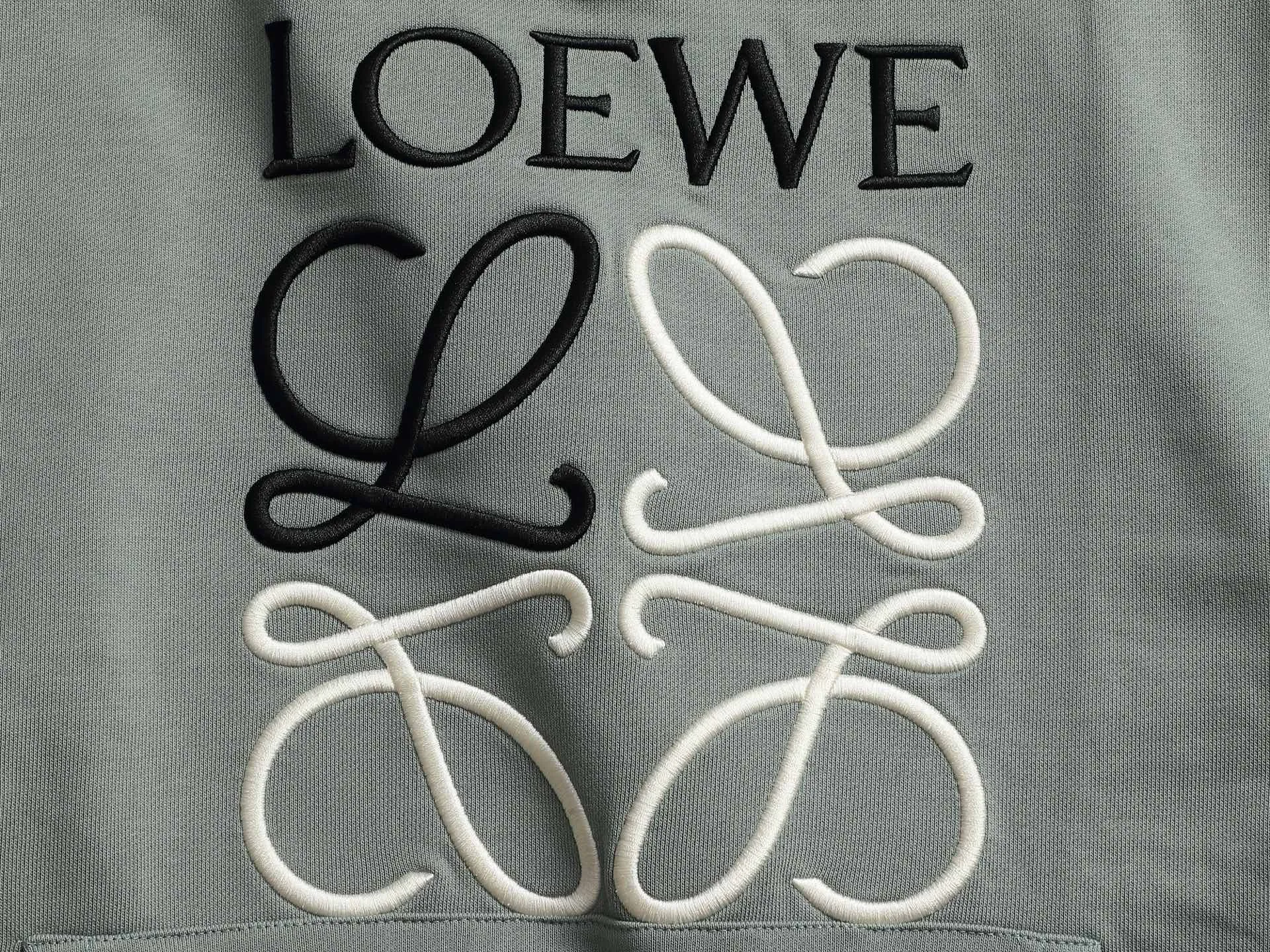 Anagram Logo Embroidered Cotton Hoodie D19022000 — view 6