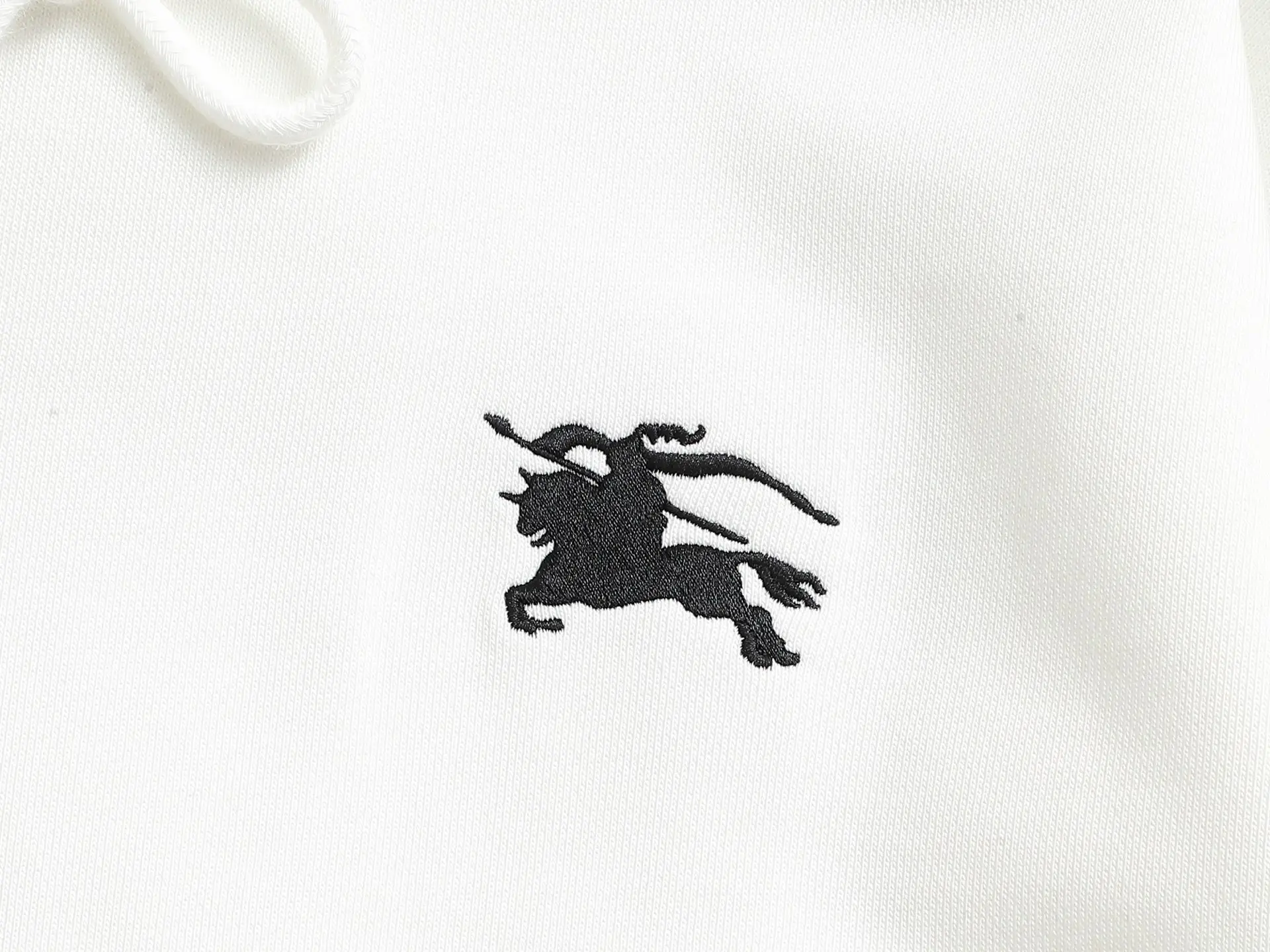 EKD Logo Embroidered Cotton Hoodie D19021980 — view 6