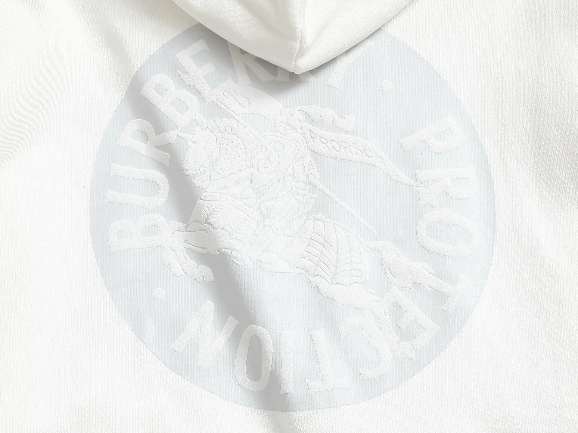 EKD Logo Embroidered Cotton Hoodie D19021980 — view 11