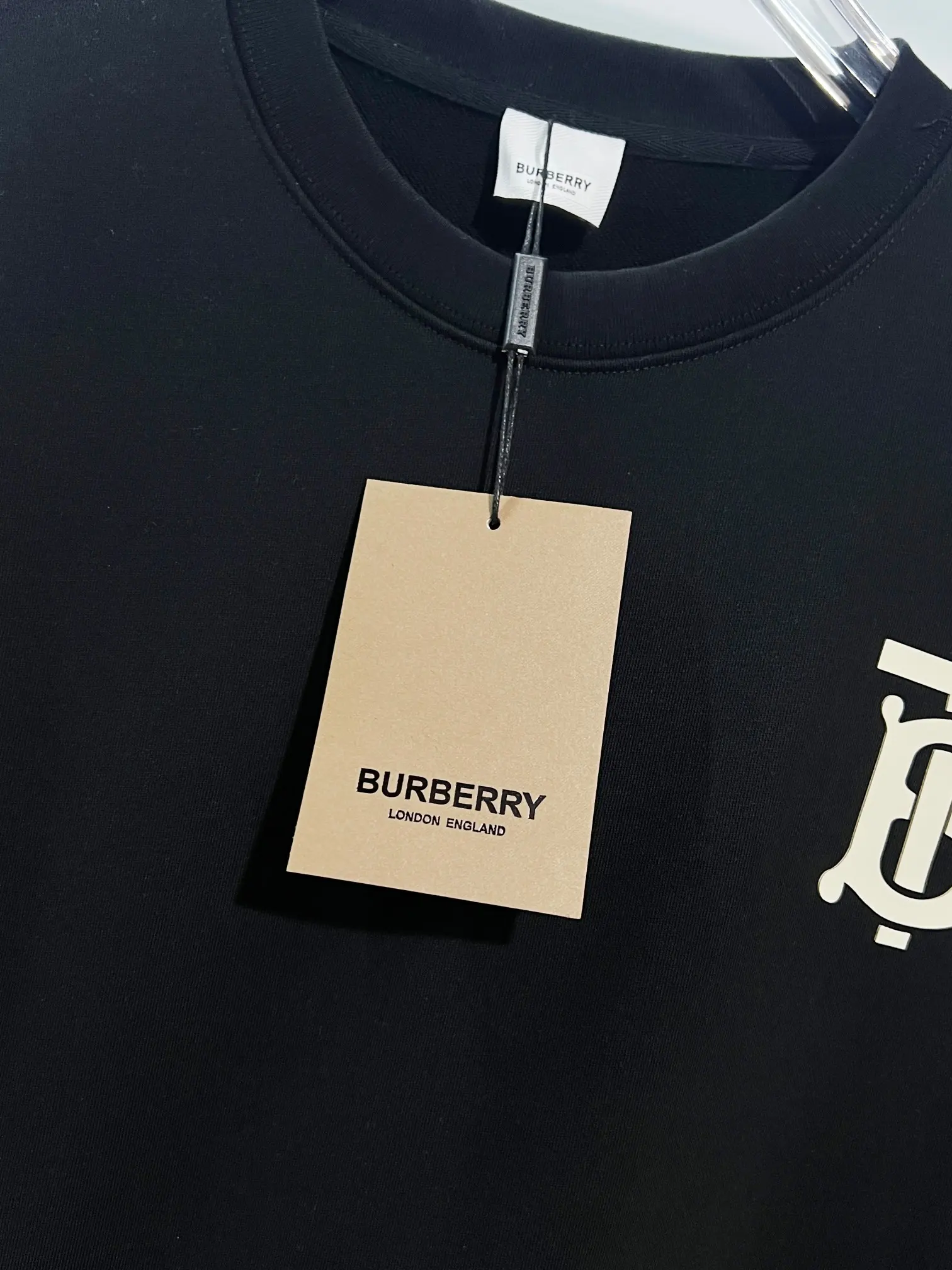 TB Monogram Logo Crew-Neck Sweatshirt D19022872 — view 5