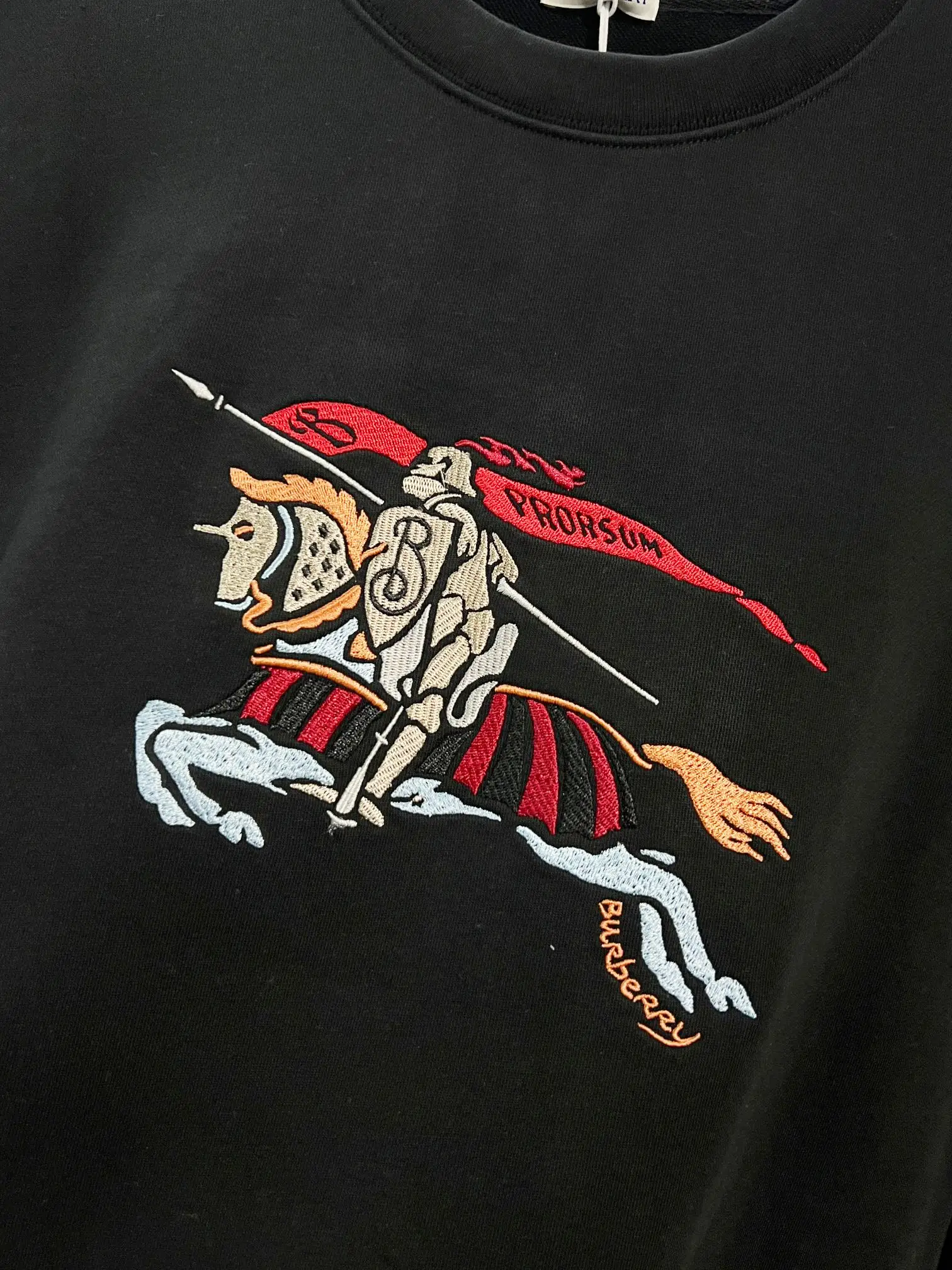 EKD Embroidered Cotton-Terry Sweatshirt D19022856 — view 4