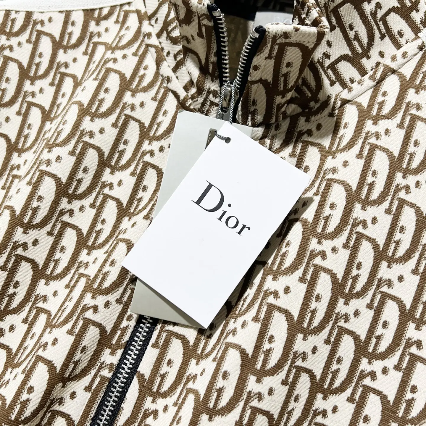 Oblique Monogram Zip-Up Track Jacket D19520059 — view 5