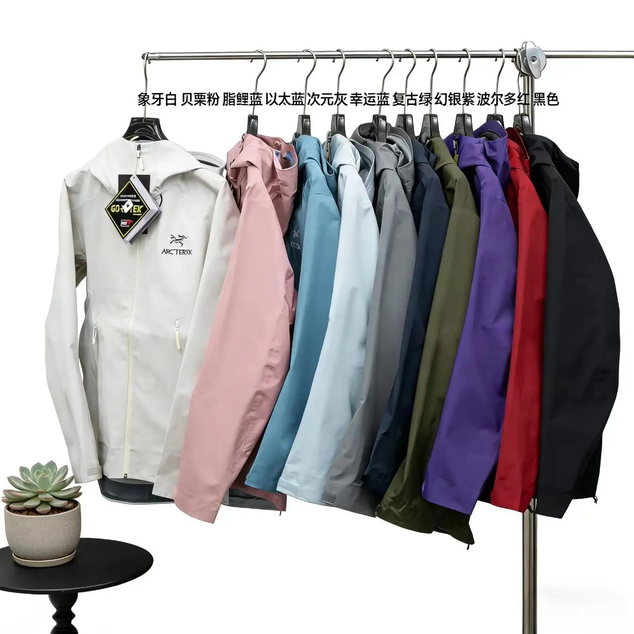Beta LT GORE-TEX Hooded Shell Jacket D29021398