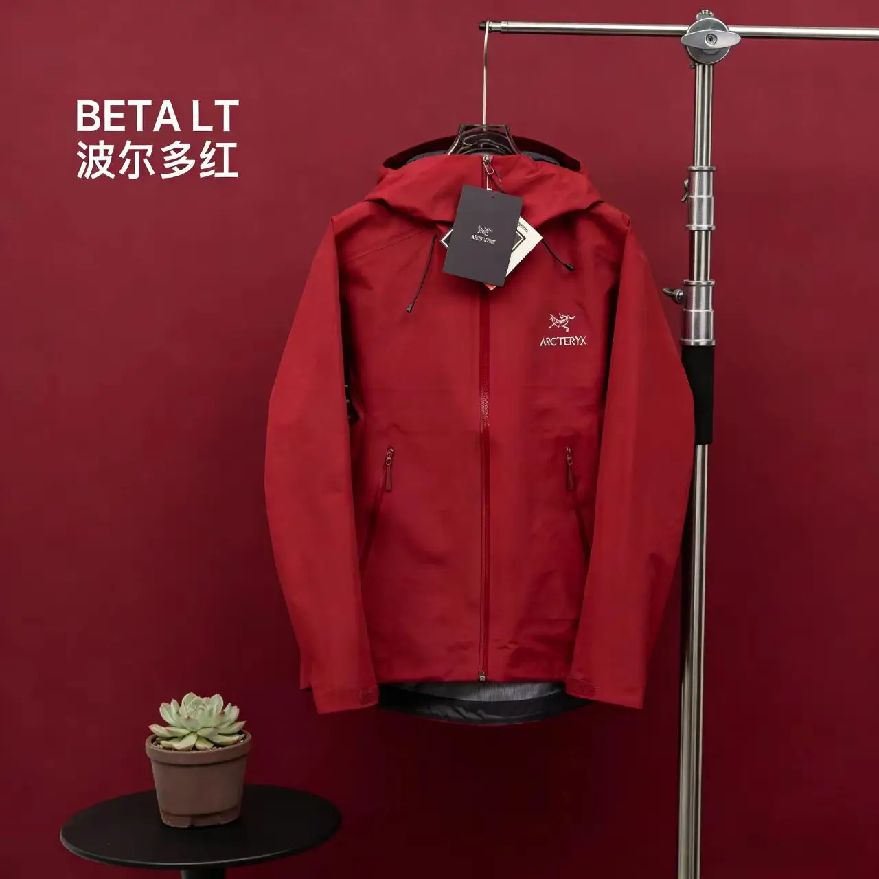 Beta LT GORE-TEX Hooded Shell Jacket D29021398 — view 11