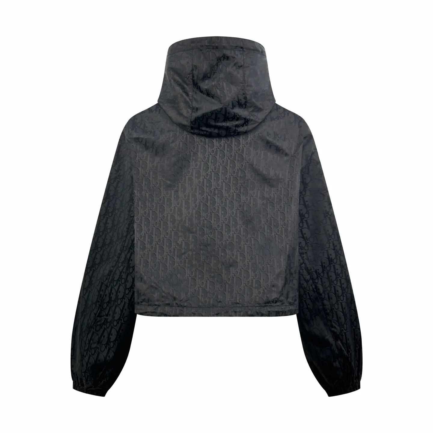 Oblique Jacquard Taffeta Cropped Hooded Jacket D33023479 — view 2