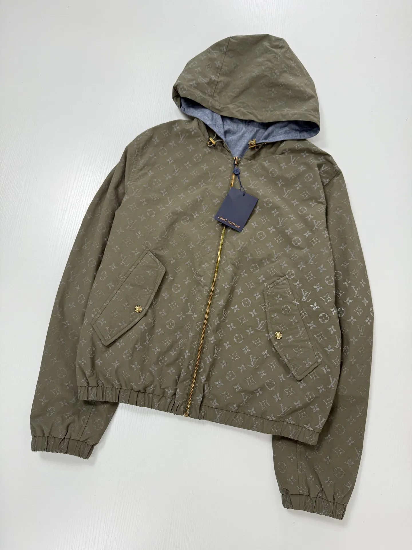 Reversible Monogram Reflective Hooded Jacket D34819948 — view 5