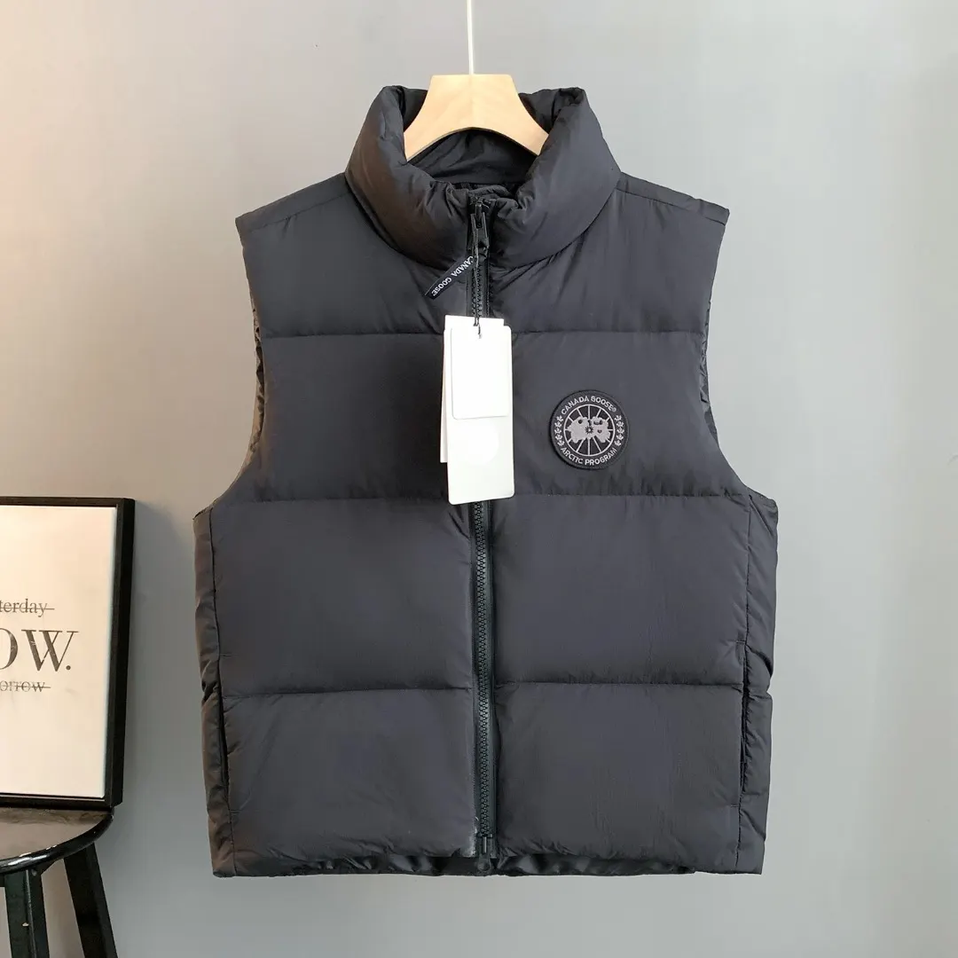 Lawrence Down-Filled Quilted Gilet D35023519