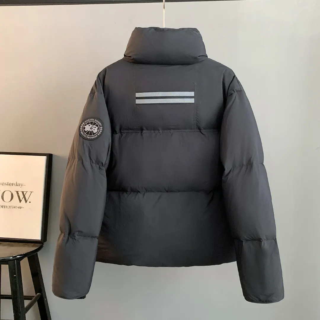 Lawrence Down-Filled Puffer Jacket D38023510 — view 2