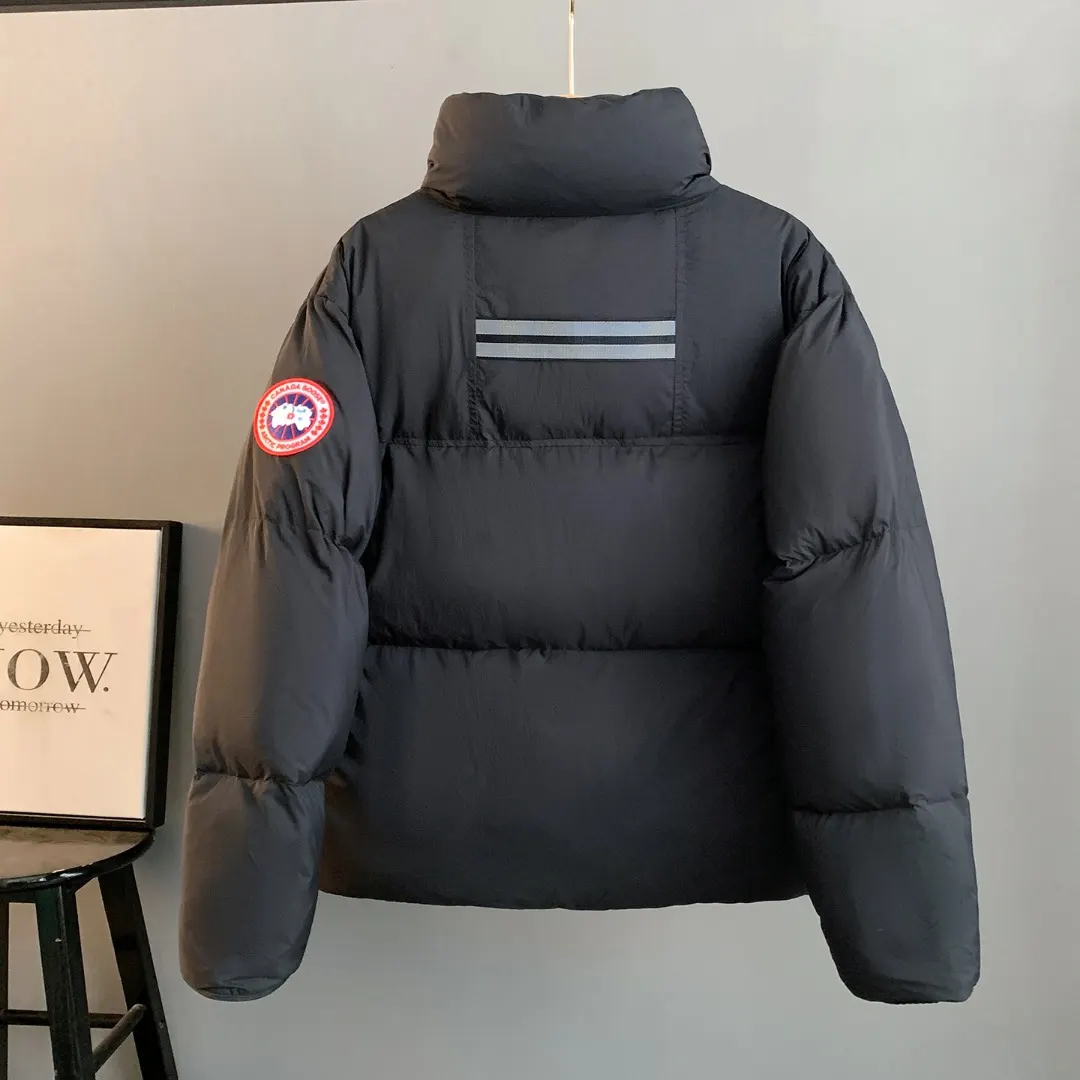 Lawrence Down-Filled Puffer Jacket D38023511 — view 2