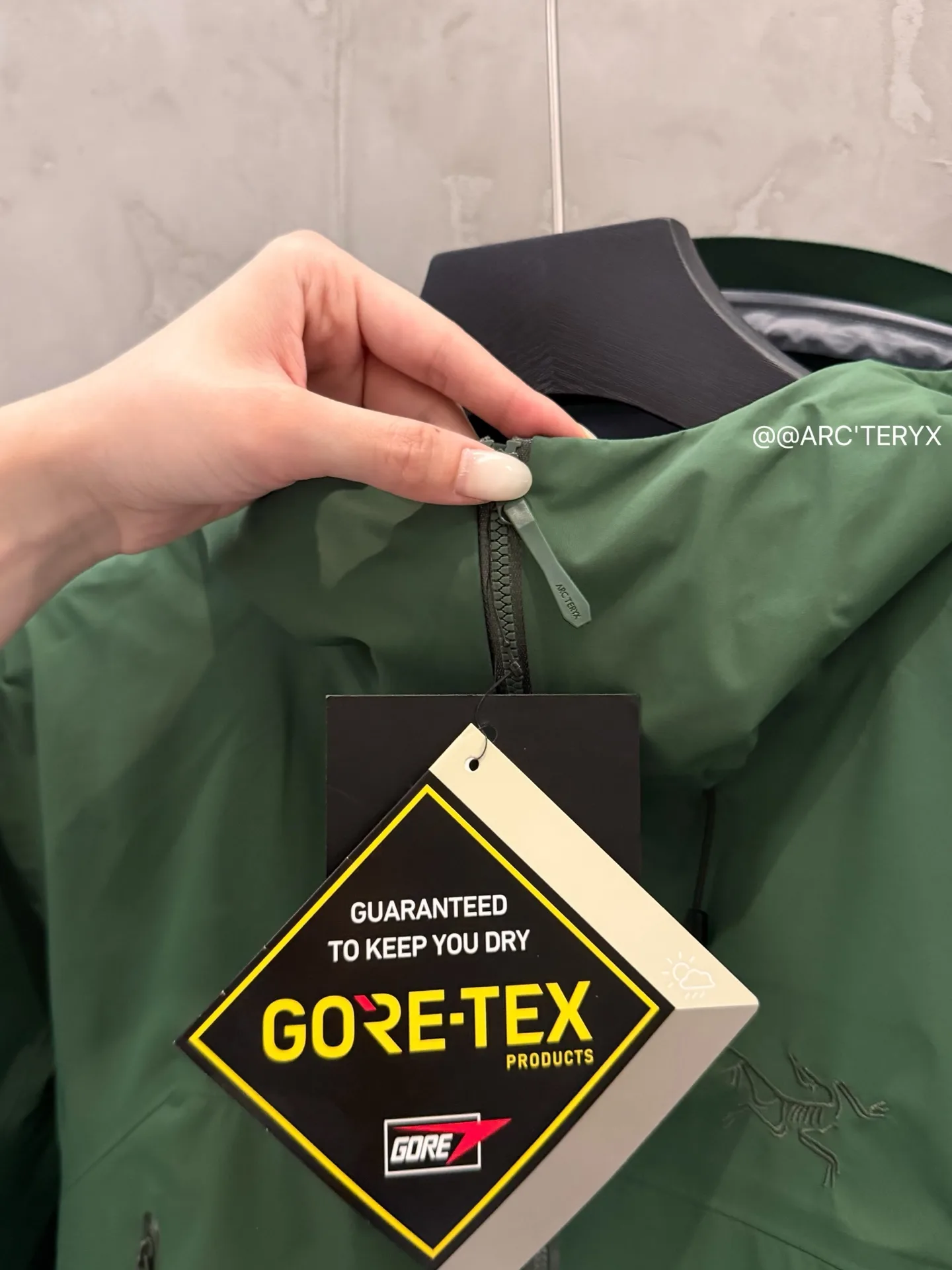 Beta SL GORE-TEX Hooded Shell Jacket D38022812 — view 5