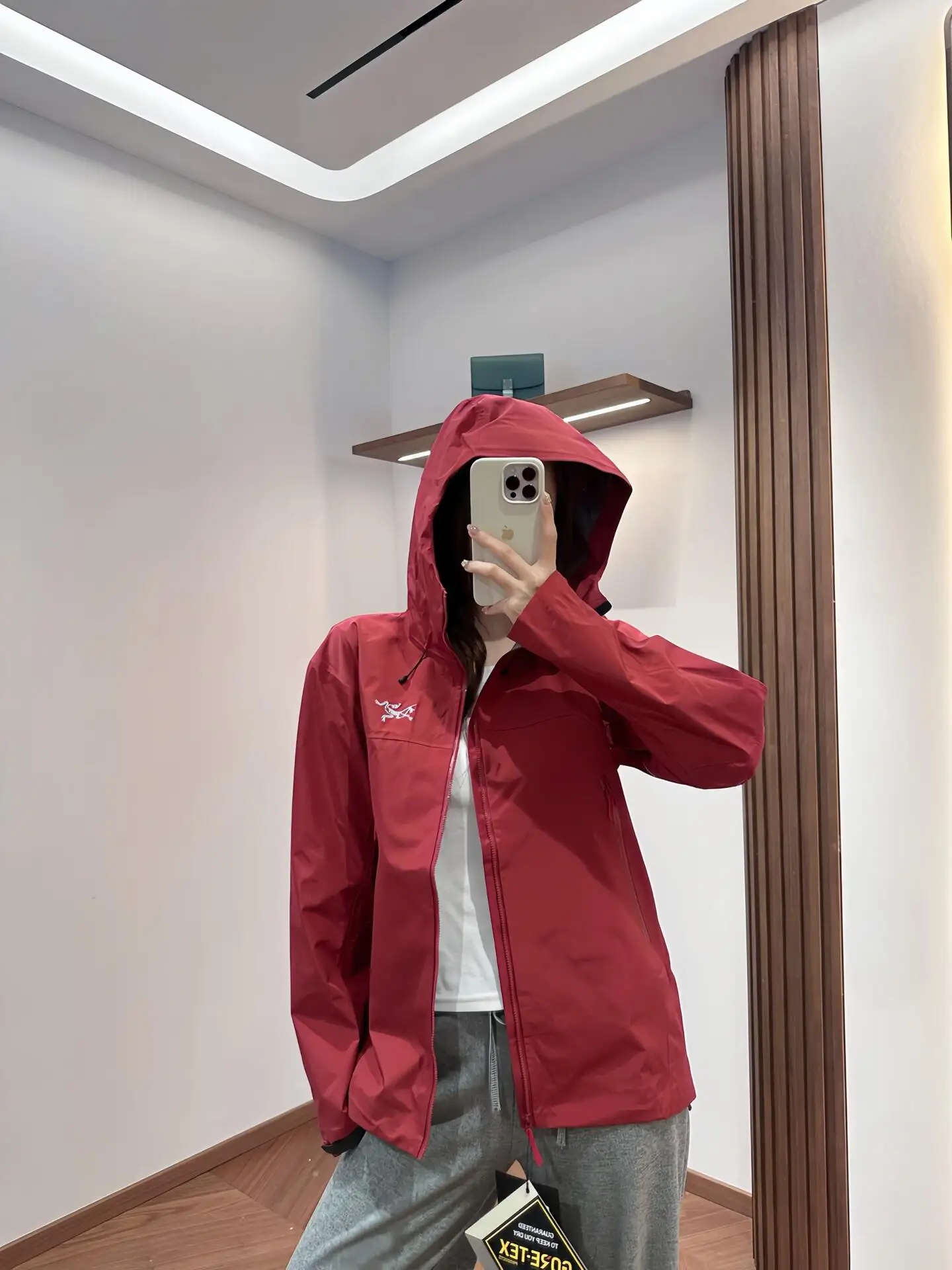 Beta SL GORE-TEX Hooded Shell Jacket D38022795 — view 3