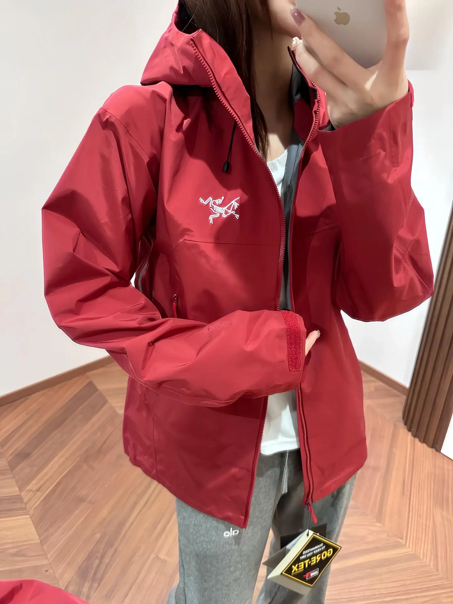 Beta SL GORE-TEX Hooded Shell Jacket D38022795 — view 4