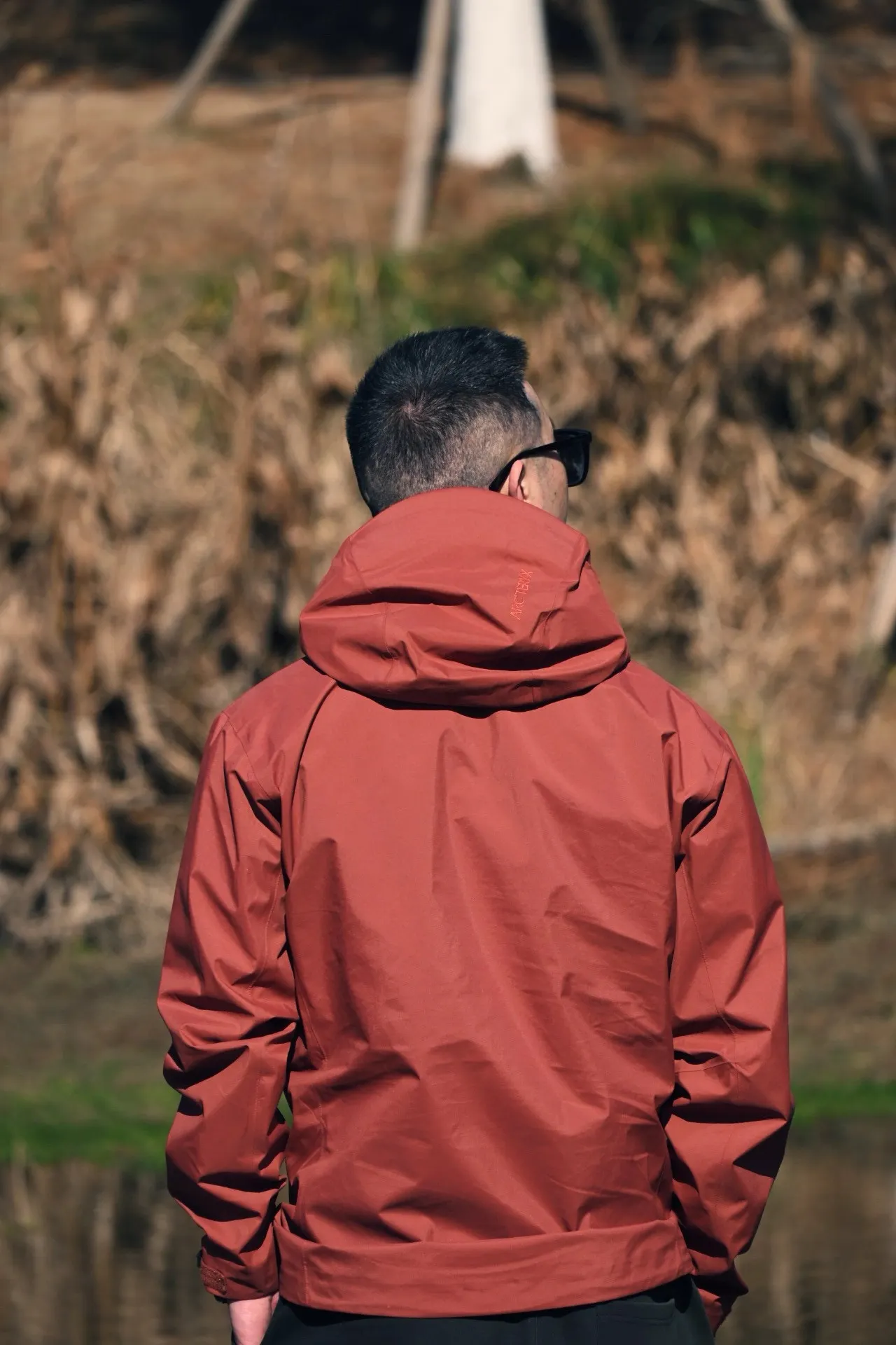 Beta SL GORE-TEX Hooded Shell Jacket D38022807 — view 7