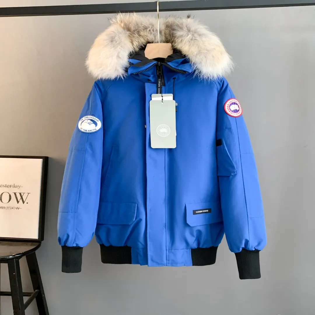Chilliwack Fur-Trimmed Bomber Down Jacket D42023413