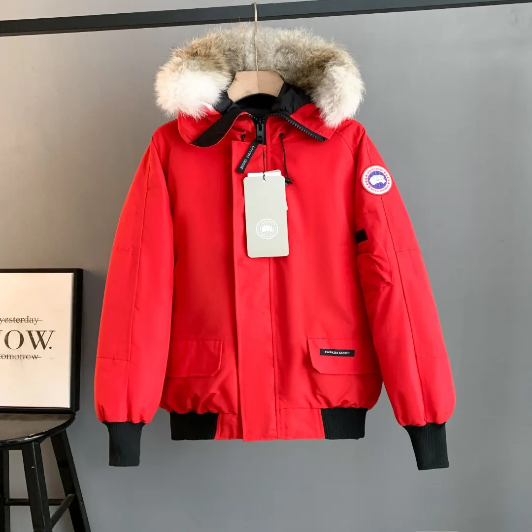 Chilliwack Fur-Trimmed Bomber Down Jacket D42023412