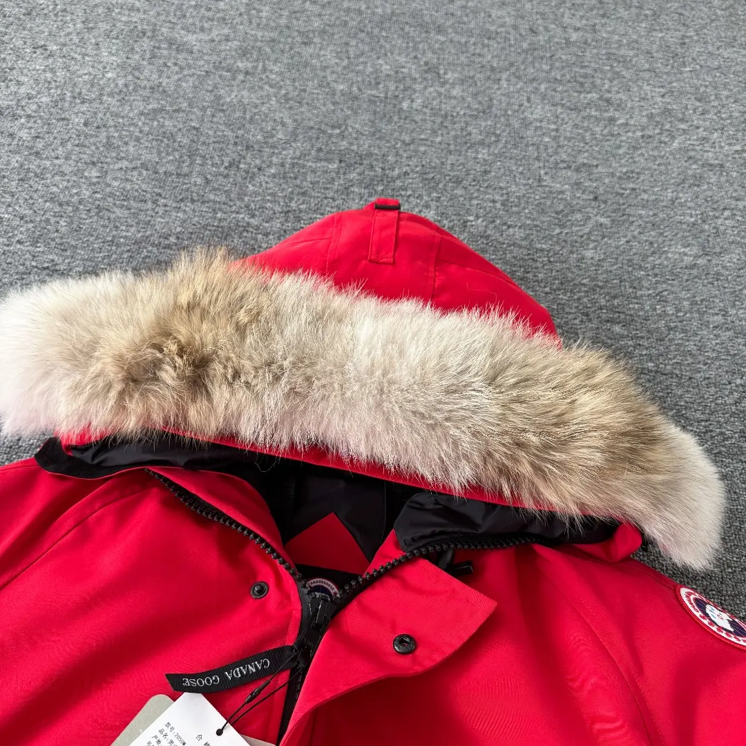 Chilliwack Fur-Trimmed Bomber Down Jacket D42023412 — view 3