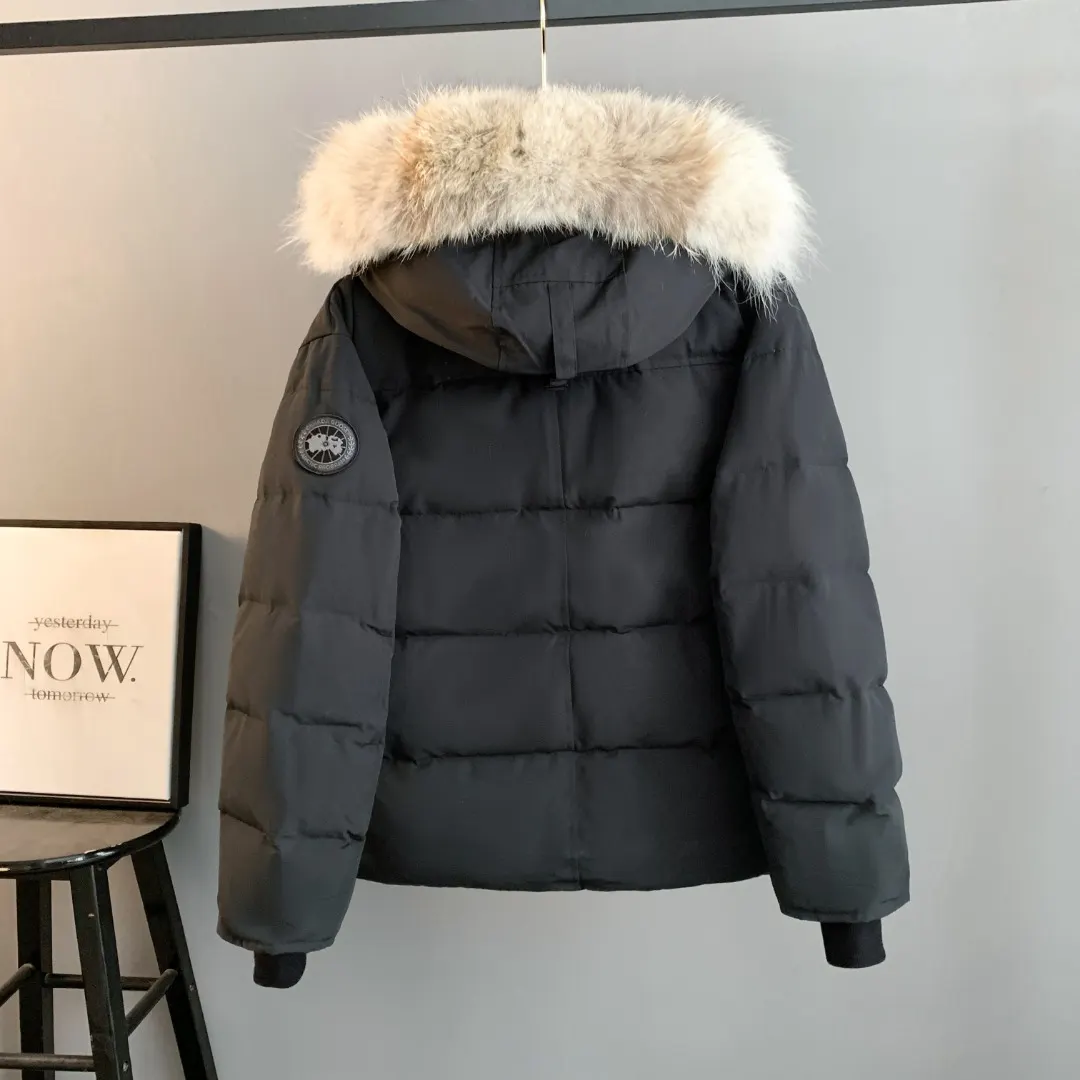 Wyndham Fur-Trimmed Down Parka D44023400 — view 2