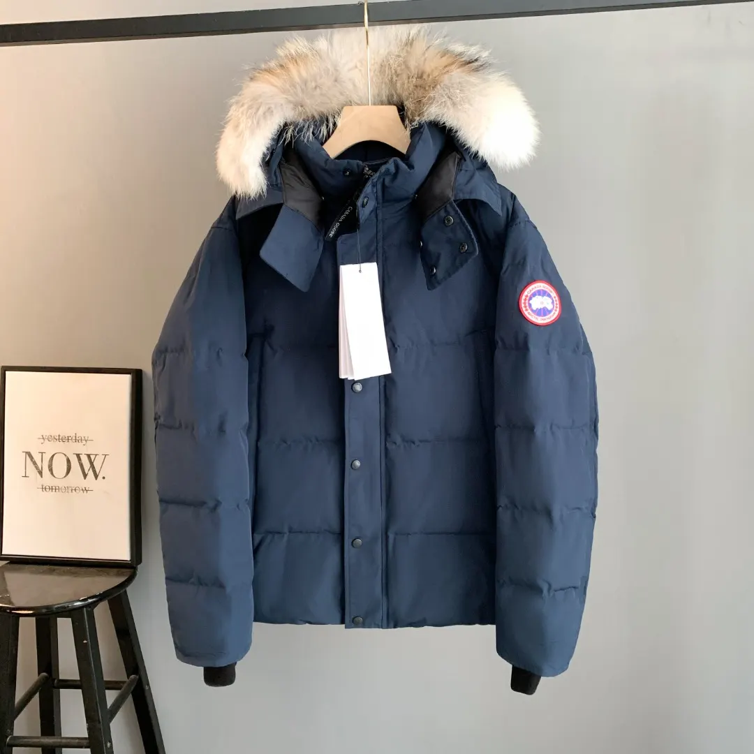 Wyndham Fur-Trimmed Down Parka D44023401