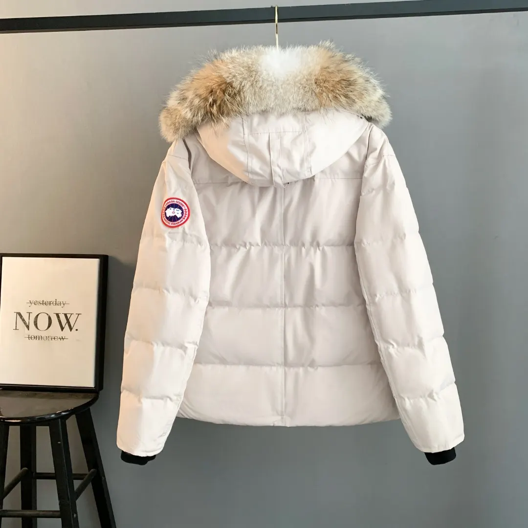 Wyndham Fur-Trimmed Down Parka D44023398 — view 2