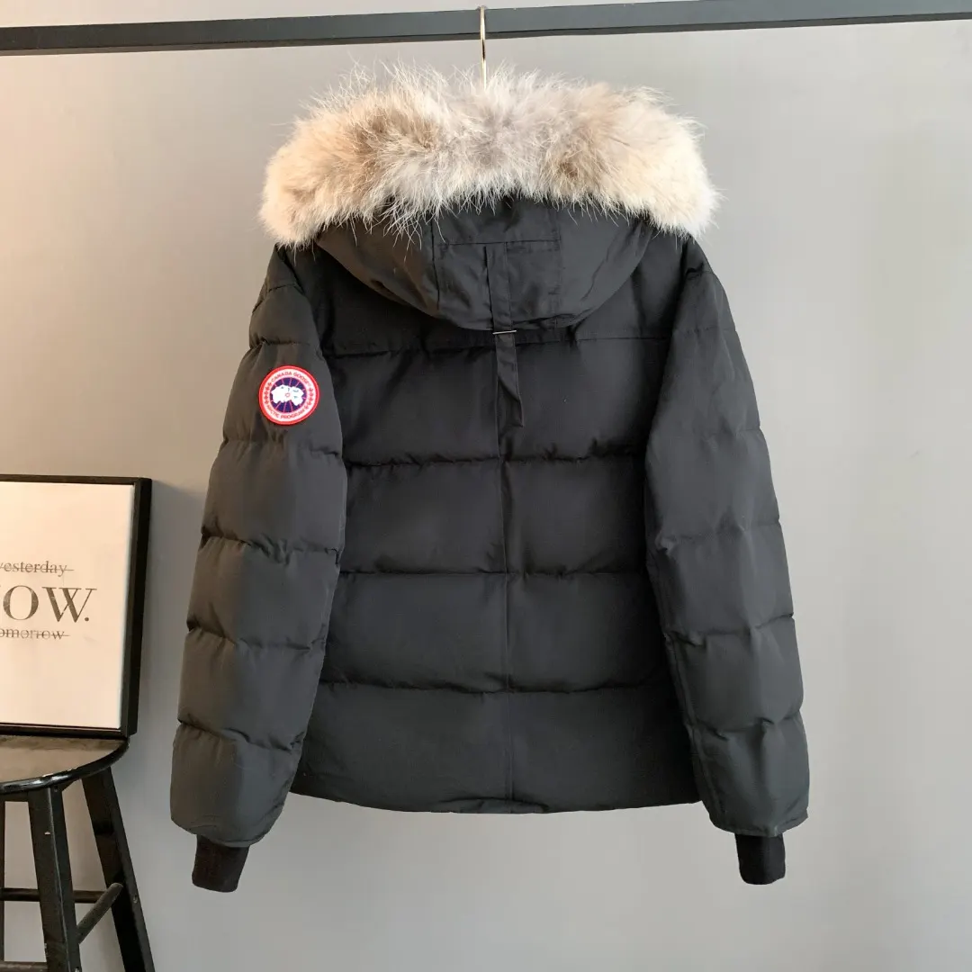 Wyndham Fur-Trimmed Down Parka D44023399 — view 2