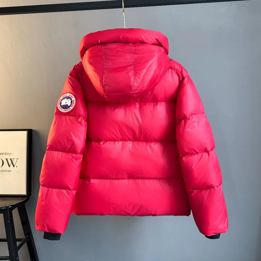 Crofton Hooded Down Puffer Jacket D45023549 — view 2