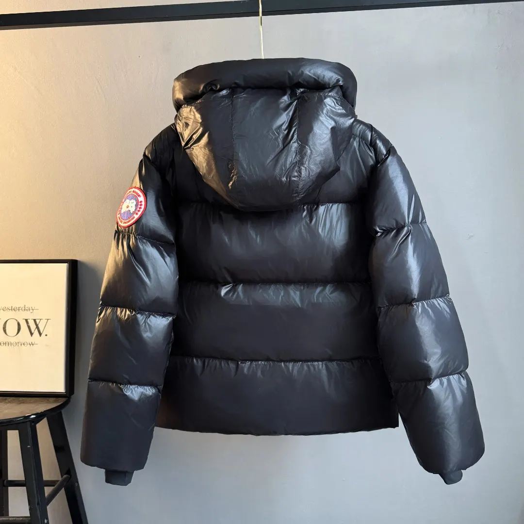 Crofton Hooded Down Puffer Jacket D45023545 — view 2