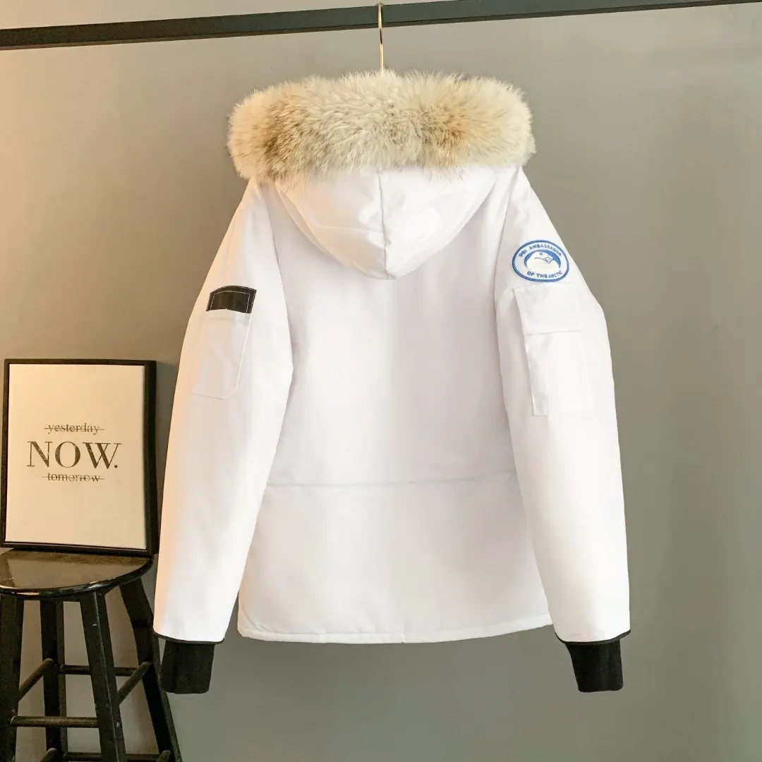 Expedition Fur-Trimmed Down Parka D46023387 — view 2