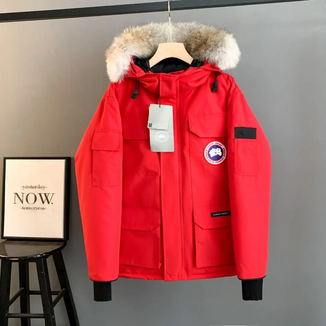 Expedition Fur-Trimmed Down Parka D46023389