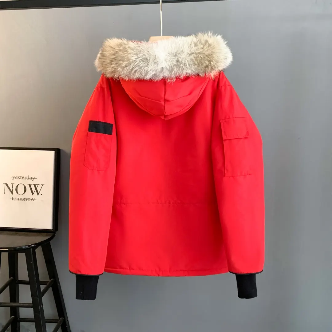 Expedition Fur-Trimmed Down Parka D46023389 — view 2
