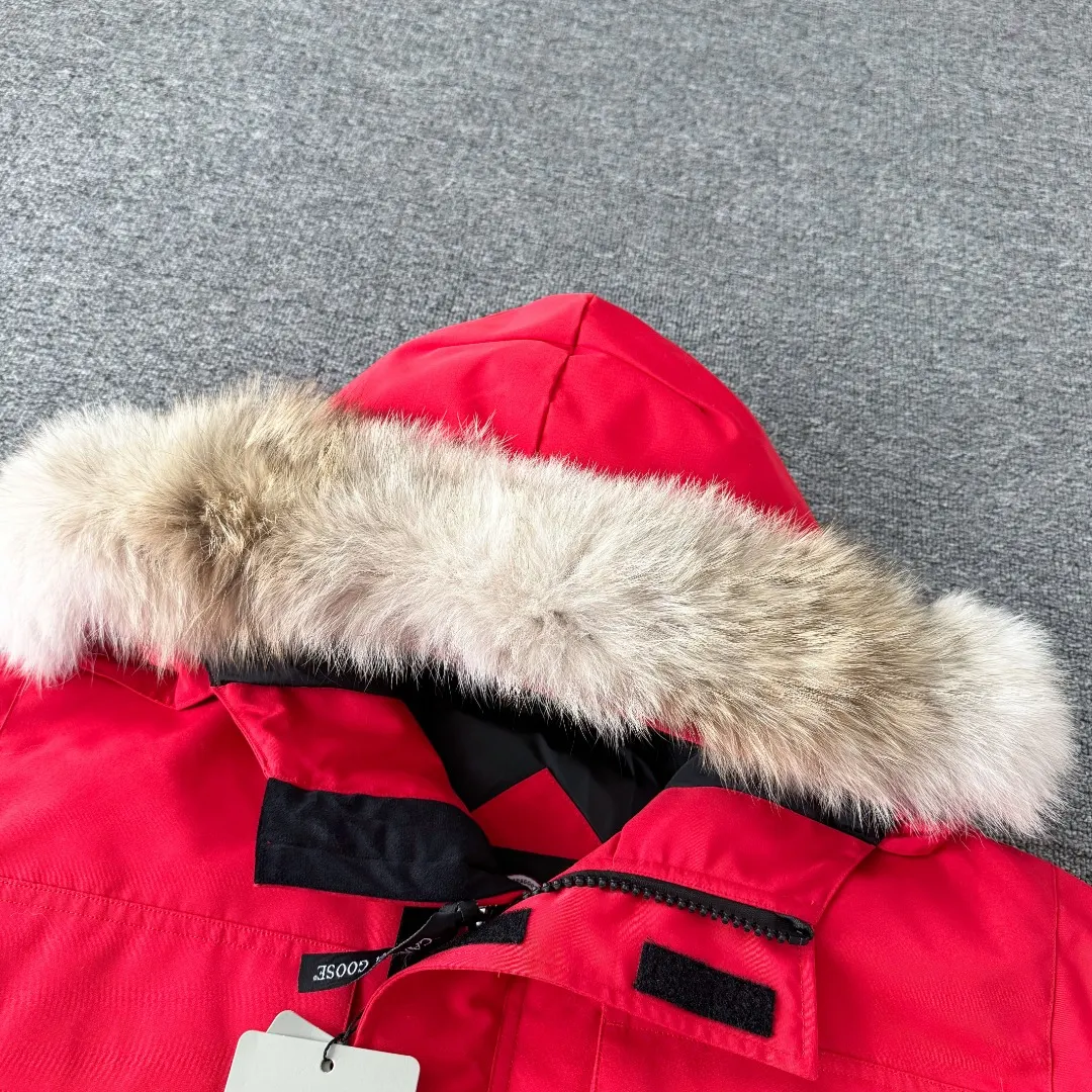 Expedition Fur-Trimmed Down Parka D46023389 — view 3