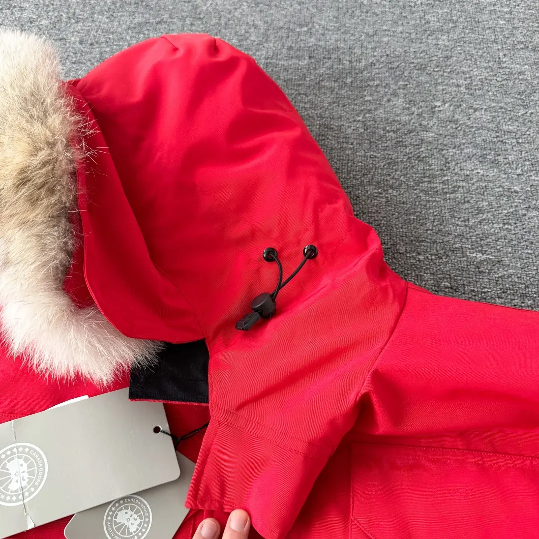 Expedition Fur-Trimmed Down Parka D46023389 — view 6
