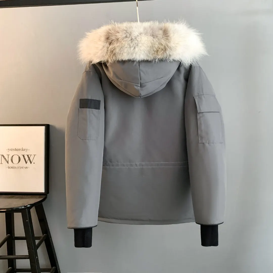 Expedition Fur-Trimmed Down Parka D46023396 — view 2
