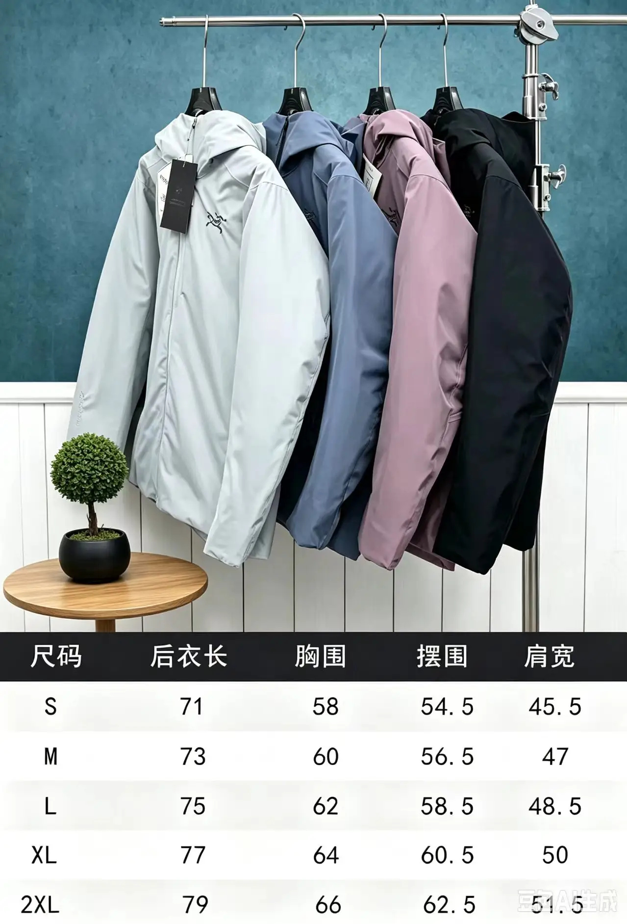 Solano GORE-TEX Down Hooded Jacket D50021362 — view 2