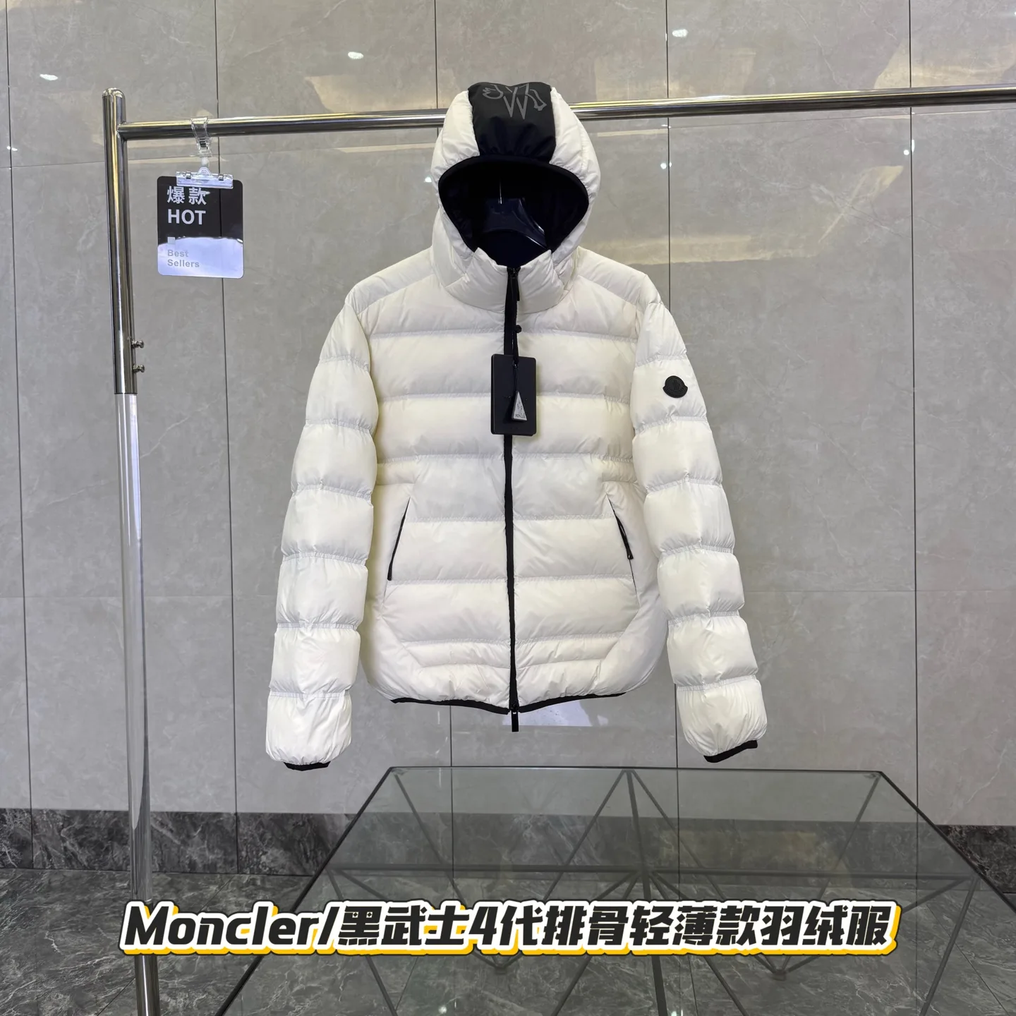 Moncler Gardy Hooded Down Puffer Jacket D51019969