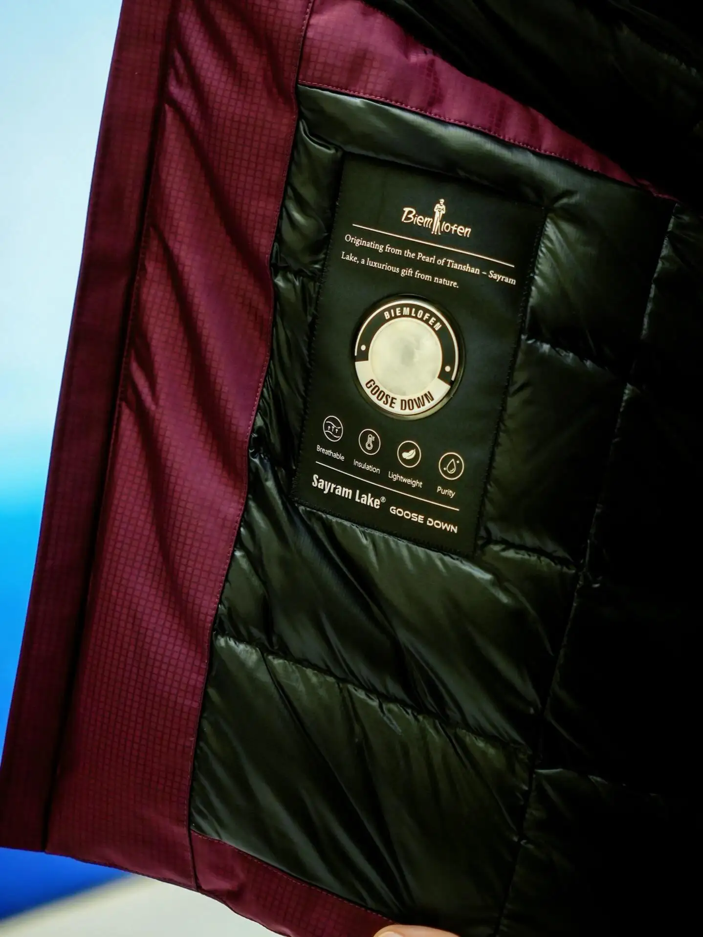 Hooded Goose Down Puffer Jacket D60019962 — view 3