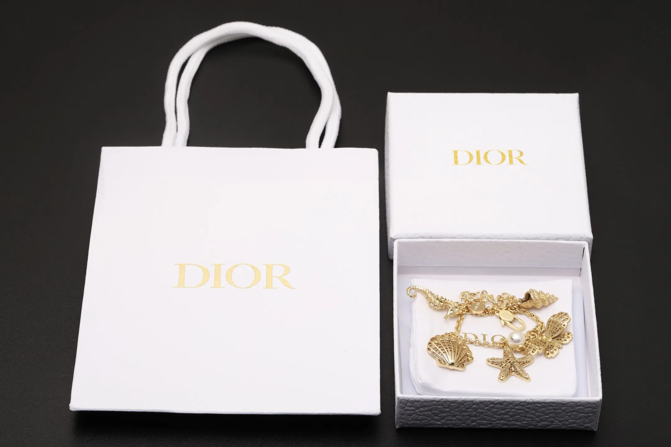Dior Ocean Elements Charm Bracelet D16517680 — view 2