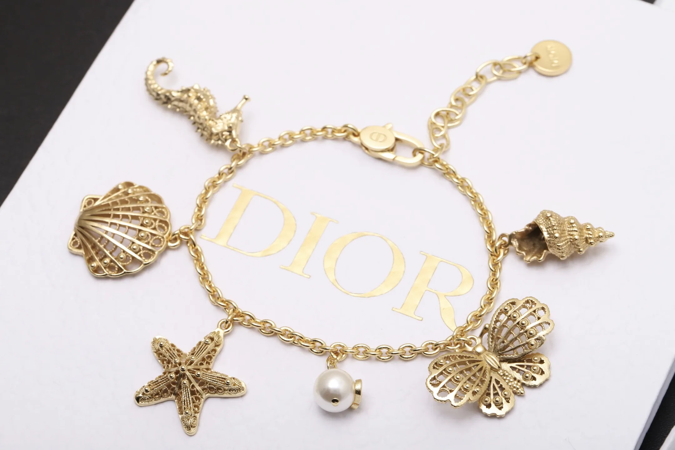 Dior Ocean Elements Charm Bracelet D16517680 — view 4